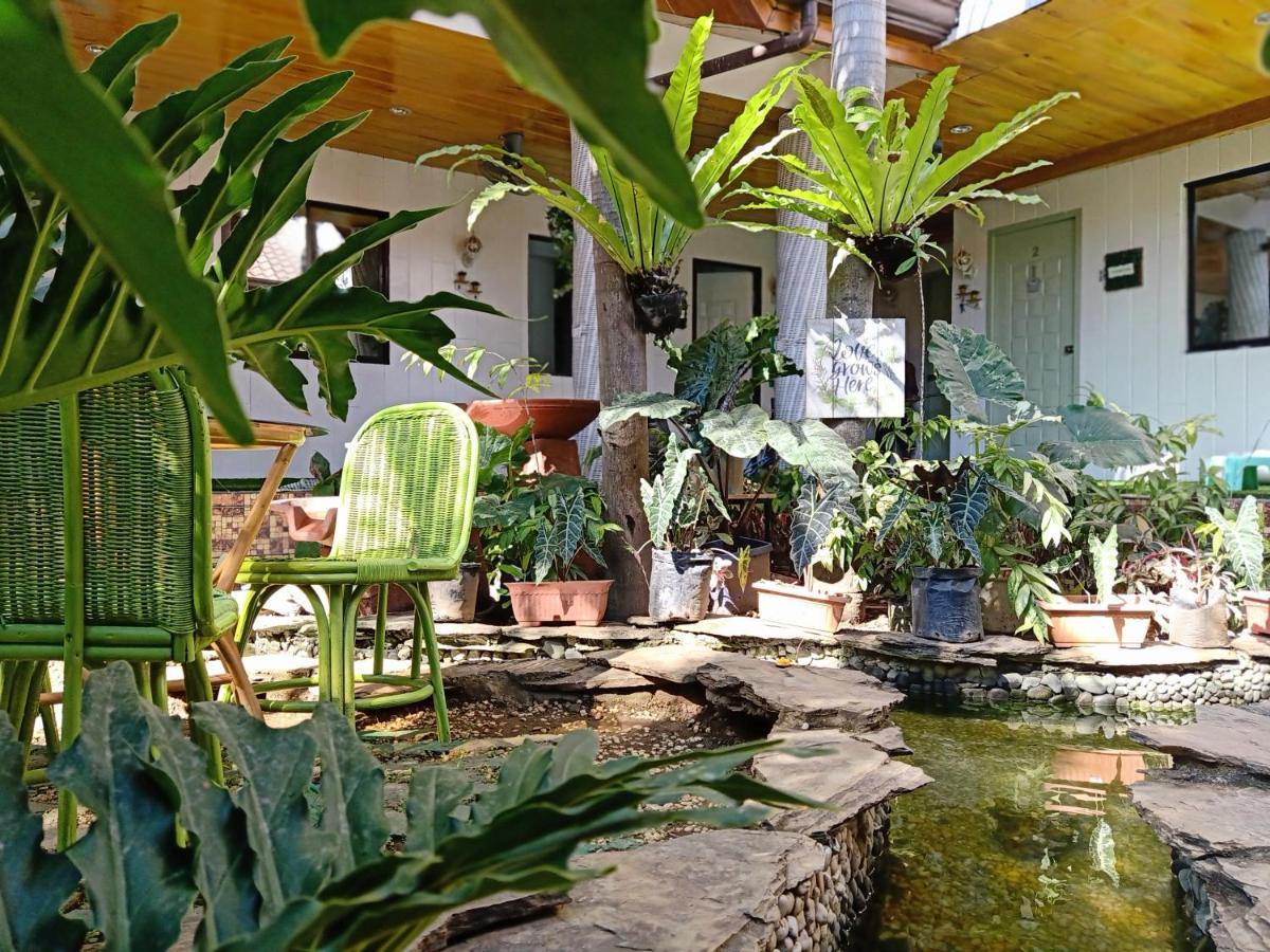 Infinite Green Pension Puerto Princesa Екстер'єр фото