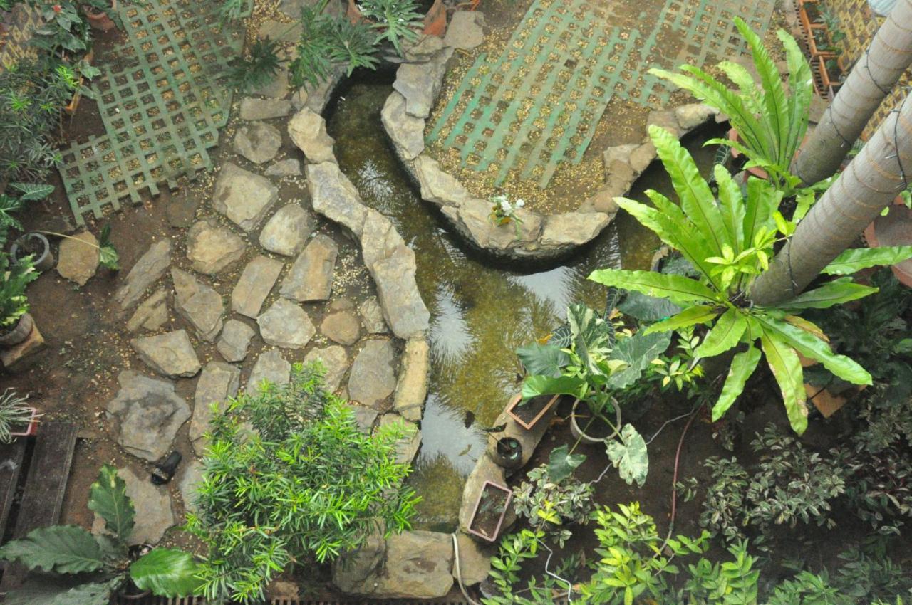 Infinite Green Pension Puerto Princesa Екстер'єр фото